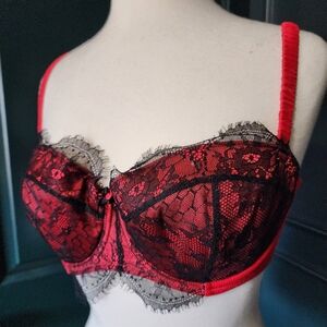 Playful Promises 34DD Red & Black Lace Cordelia Balconnette Bra